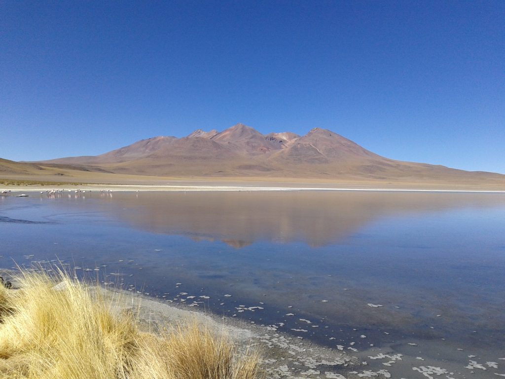 Laguna Colorada, Uyuni, Bolivia, 2014 | rominitaviajera.com