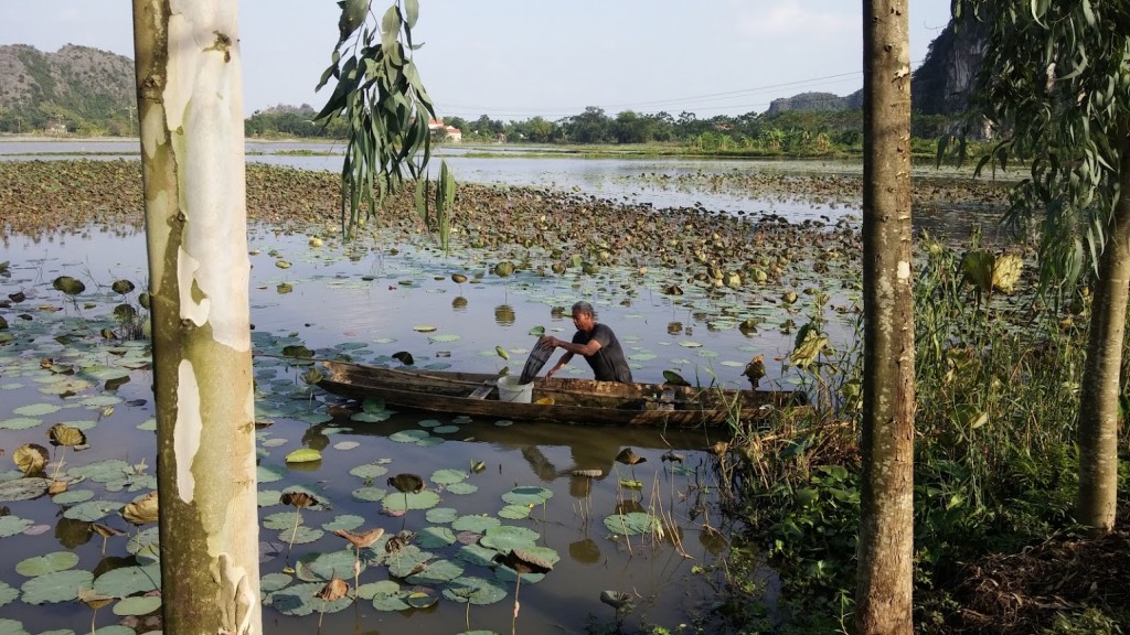 Vietnamita pescando en el río, Tam Coc, Vietnam, 2015