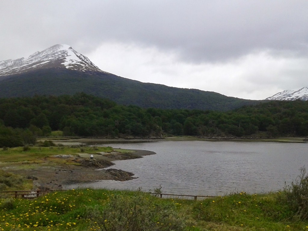 Parque Nacional Tierra del Fuego, Argentina, 2014